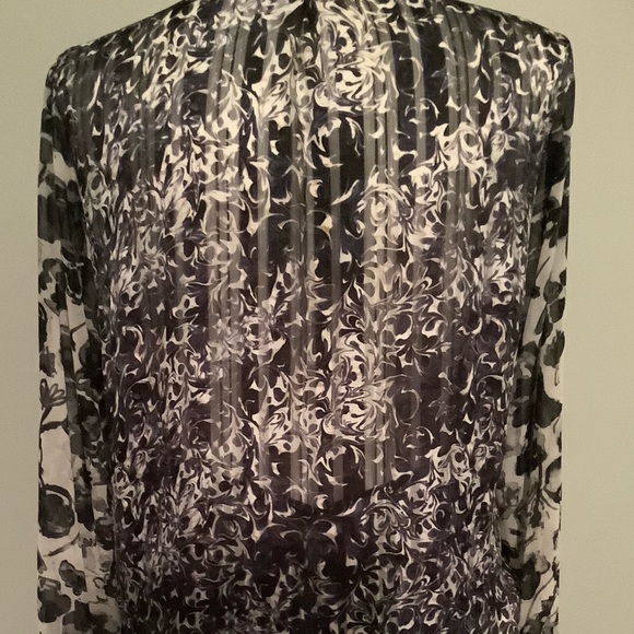 Sheer Snap Front Shirt - Picture 3 of 4